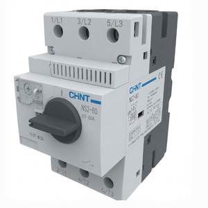 GUARDAMOTOR PERILLA 63-80A NS2-80/80 CHINT